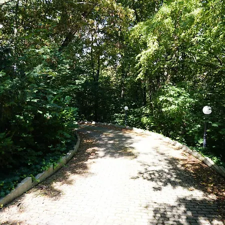 Via Lapis - Panoramablick Ueber - Garten - Pool - Sauna - Luxus Apartman Drezda